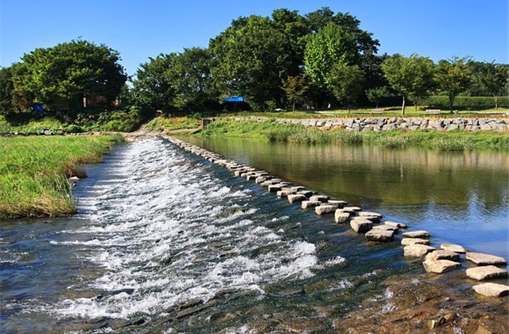 solar lighted stepping stones