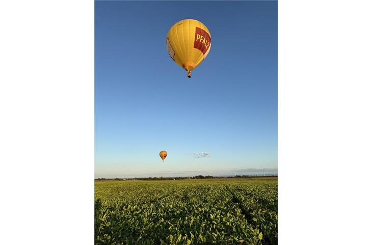 solar hot air balloon light