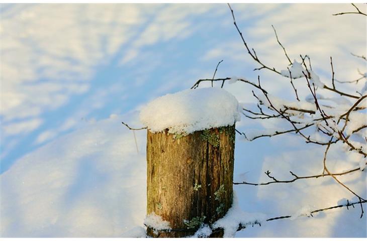 solar lights for fence post