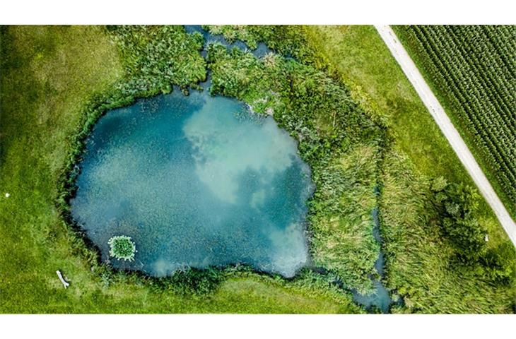 floating pond solar lights