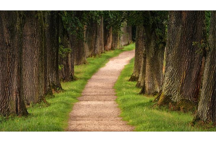 bronze solar path lights