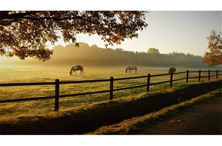 ranch hand solar lights