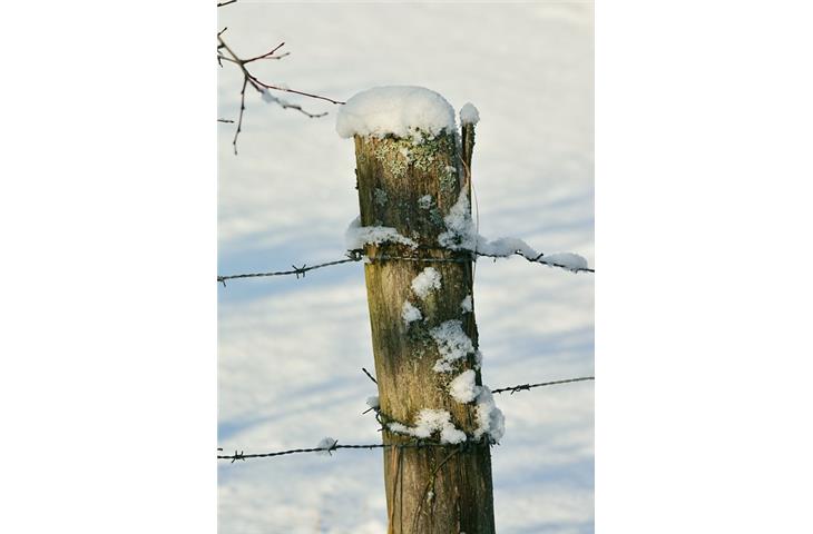 solar lights on fence posts