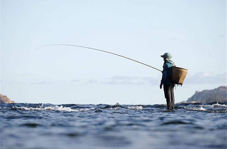 fishing solar lights