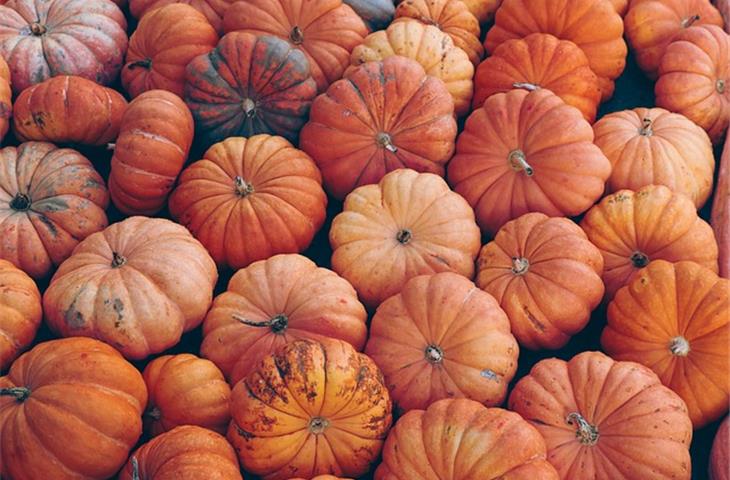 solar pumpkin light stake