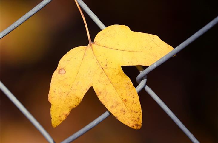 solar lights for chain link fence