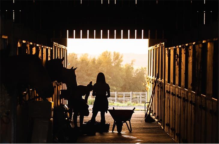 solar gooseneck barn light