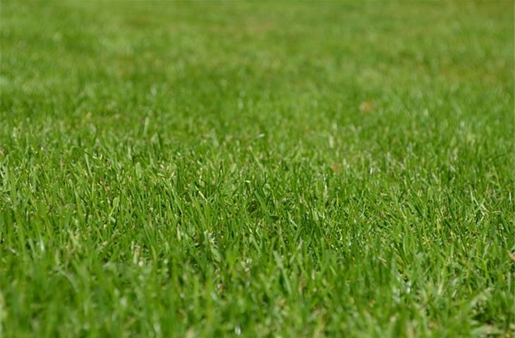 solar lawn lighting