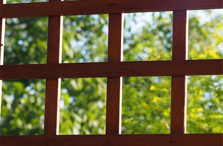 solar lights on pergola