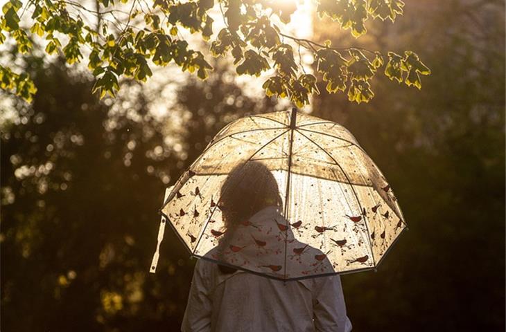 rain gauge with solar light