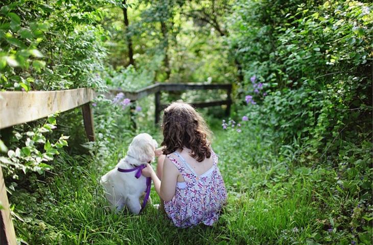 dog solar lights for garden