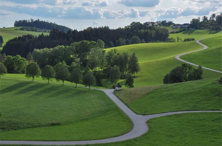 modern solar pathway lights