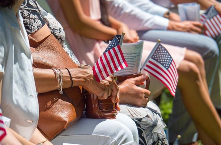 patriotic solar stake lights