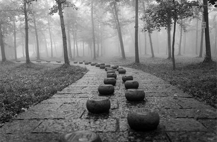 solar powered lighted stepping stones