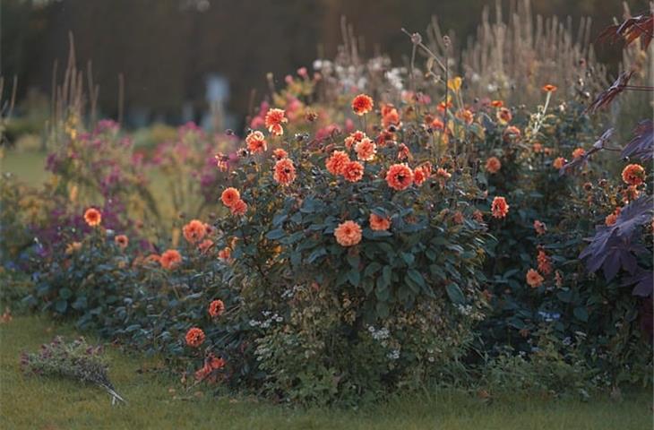 outdoor solar garden lighting