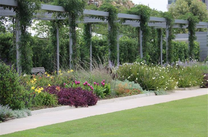 solar lights on pergola