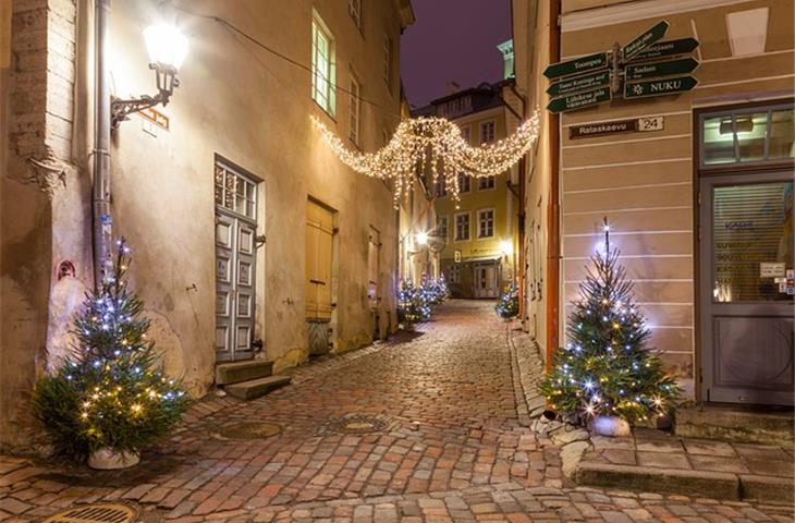 christmas tree with solar lights