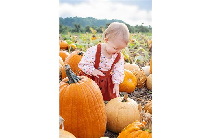 diy pumpkin solar lights