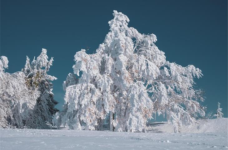 do solar powered lights work in the winter