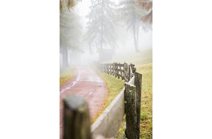 black solar pathway lights