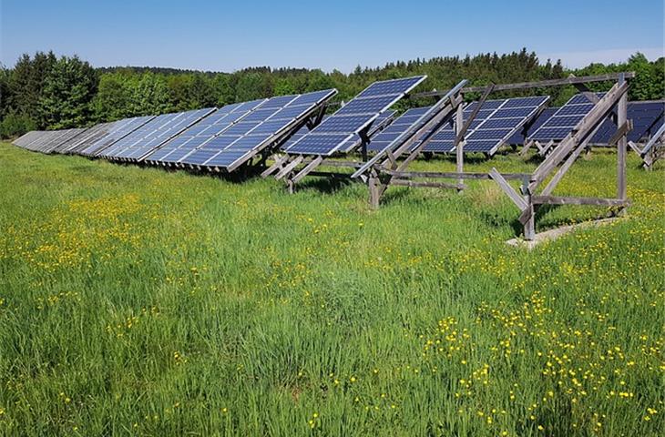 solar power garden lights