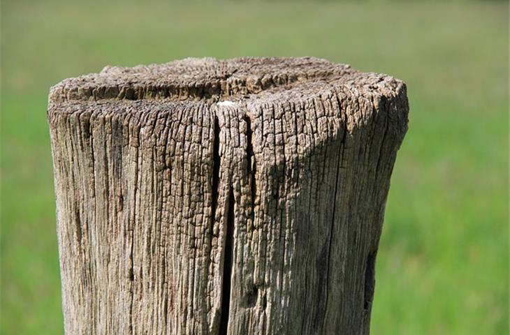 fence post solar cap lights