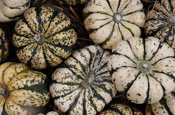 solar light pumpkin diy