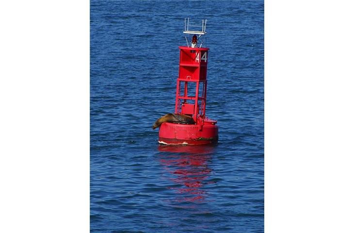 buoy solar lights