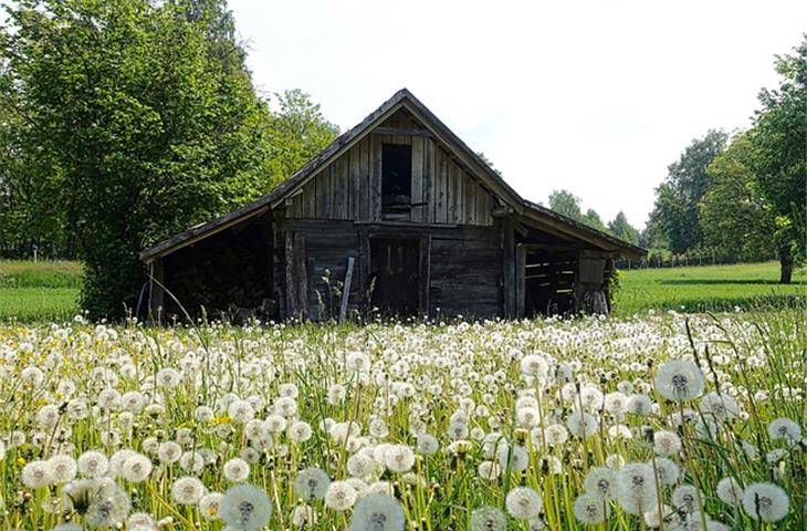 solar lights for storage sheds