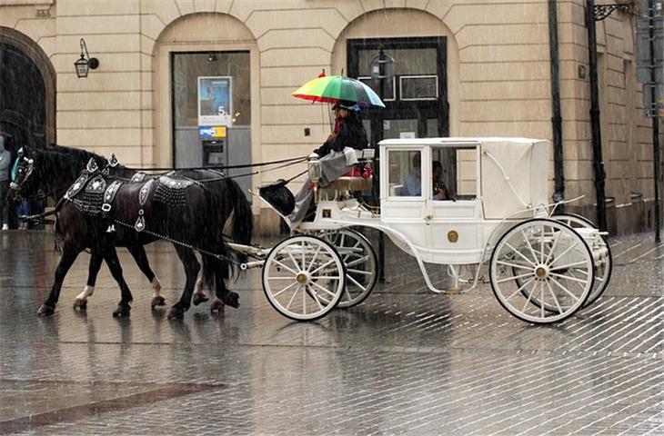 solar carriage light