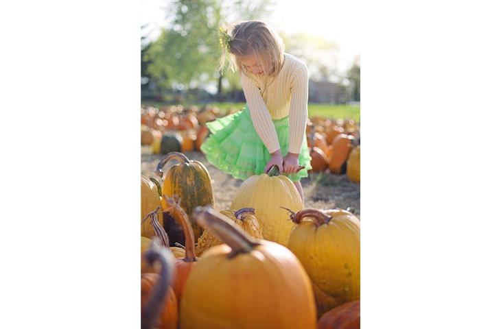 diy pumpkin solar lights