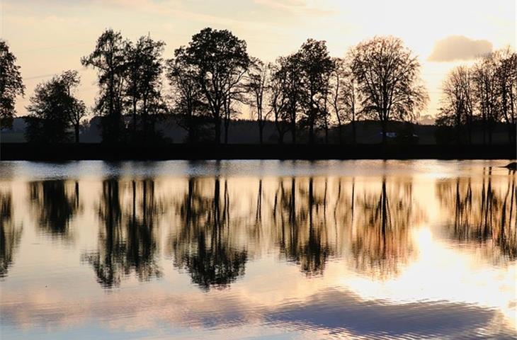 lakeside collection solar lights