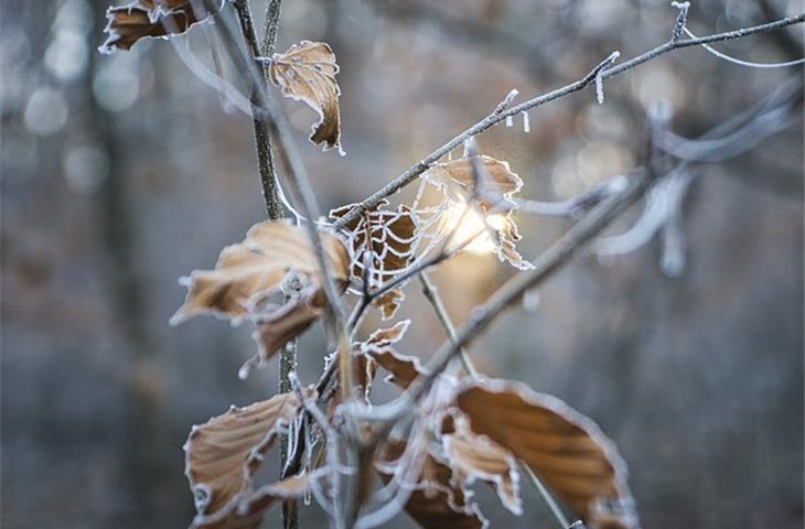 will solar lights work in winter