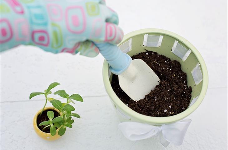 solar lighted flower pots