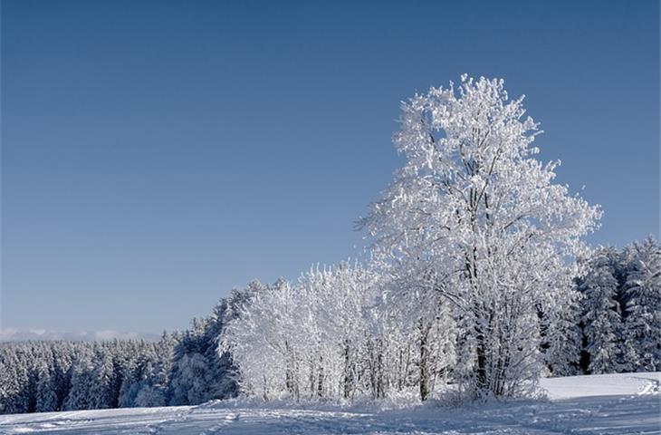 how to charge solar lights in winter