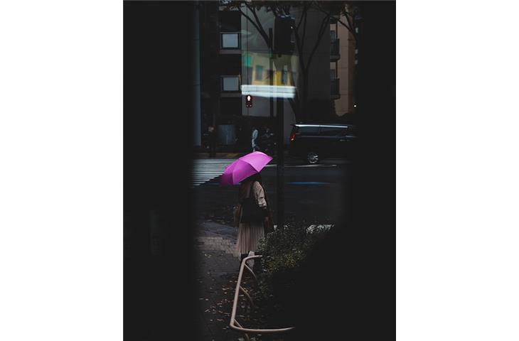 umbrella with solar lights