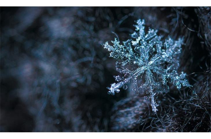 snowflake solar lights