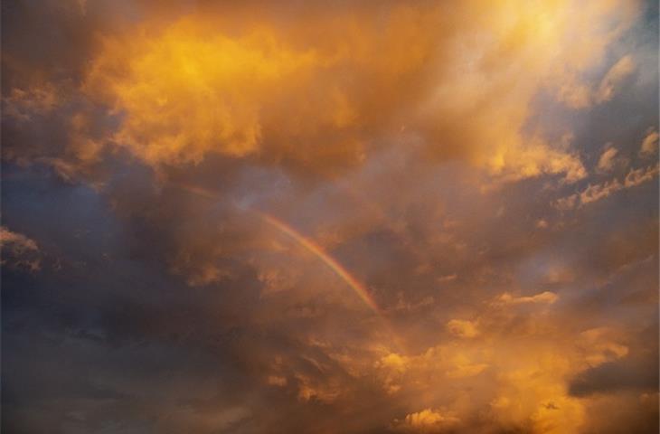 rainbow solar lights