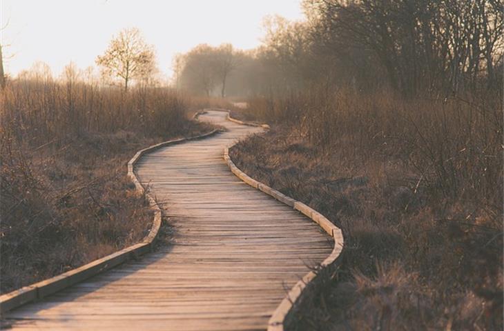 contemporary solar path lights