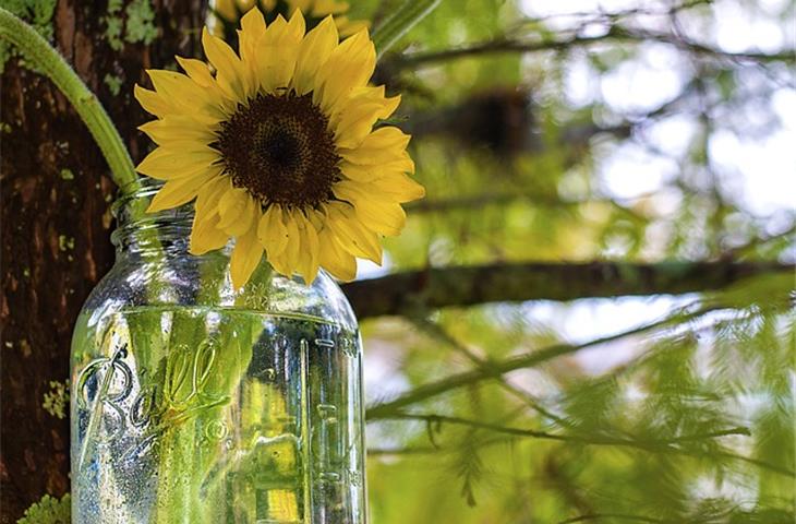 mason jar solar lights