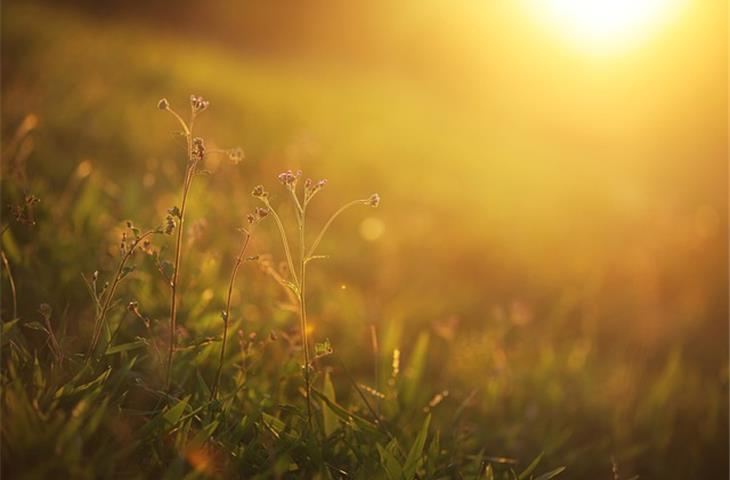 charge solar lights without sun