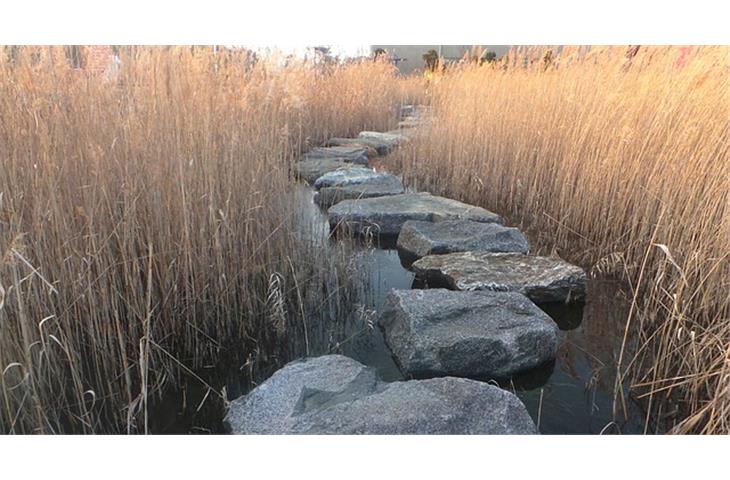 solar light stepping stones