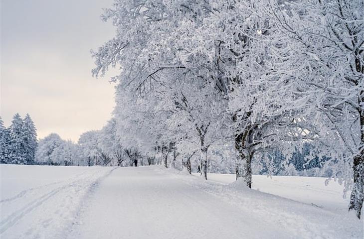 how to charge solar lights in winter