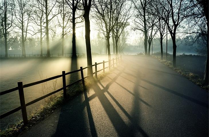 solar lights on fence posts