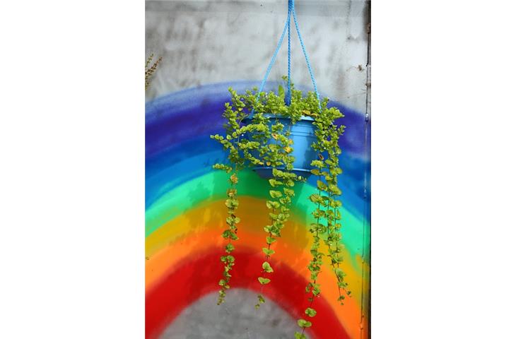 garden hanging lights solar