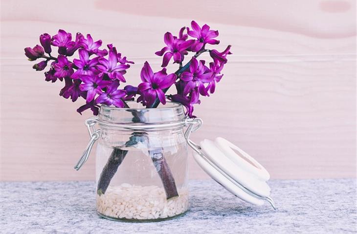 solar mason jar light