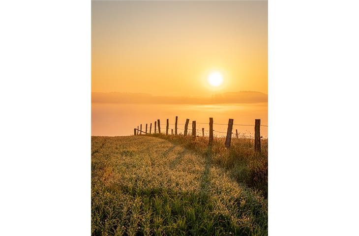 fence post top solar lights